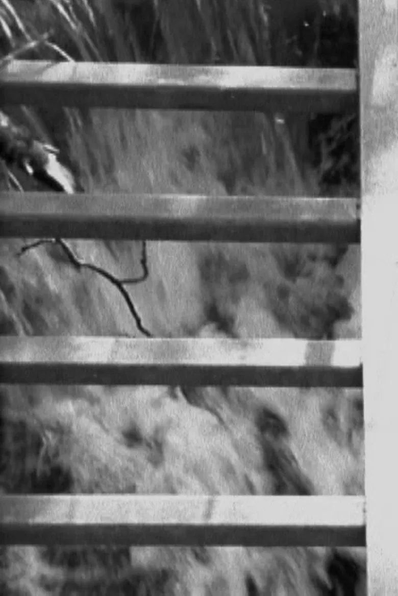 Arcana poster background