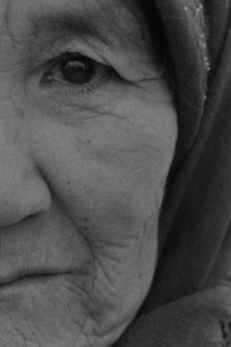 In Memoriam László Mészáros poster background