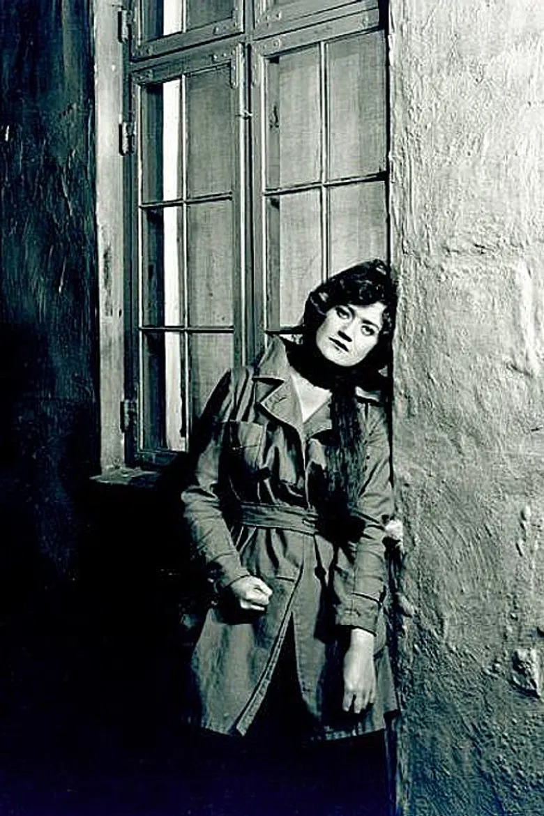 Shadow Plays poster background