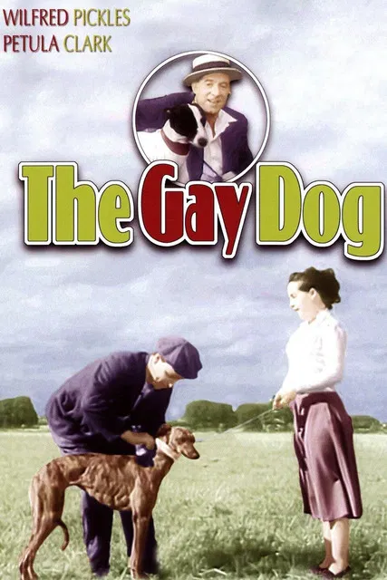 The Gay Dog poster background