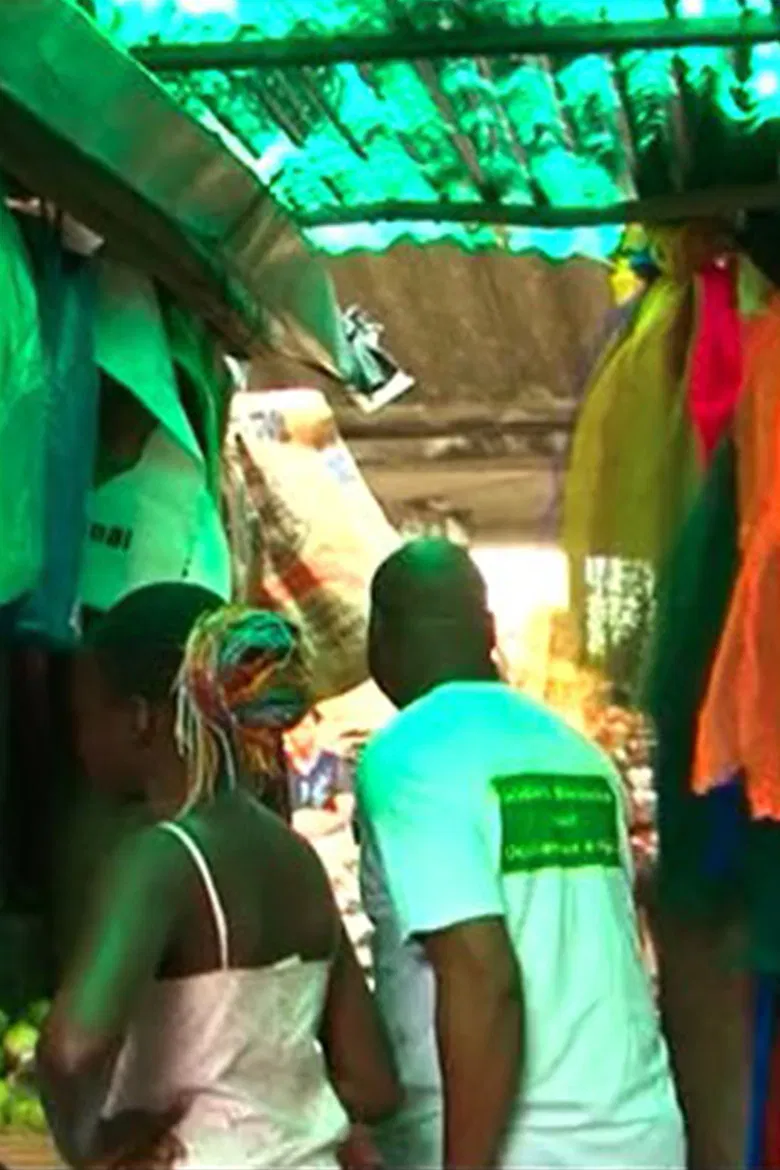 NGO (Beninese Solidarity with Endangered Westerners) poster background