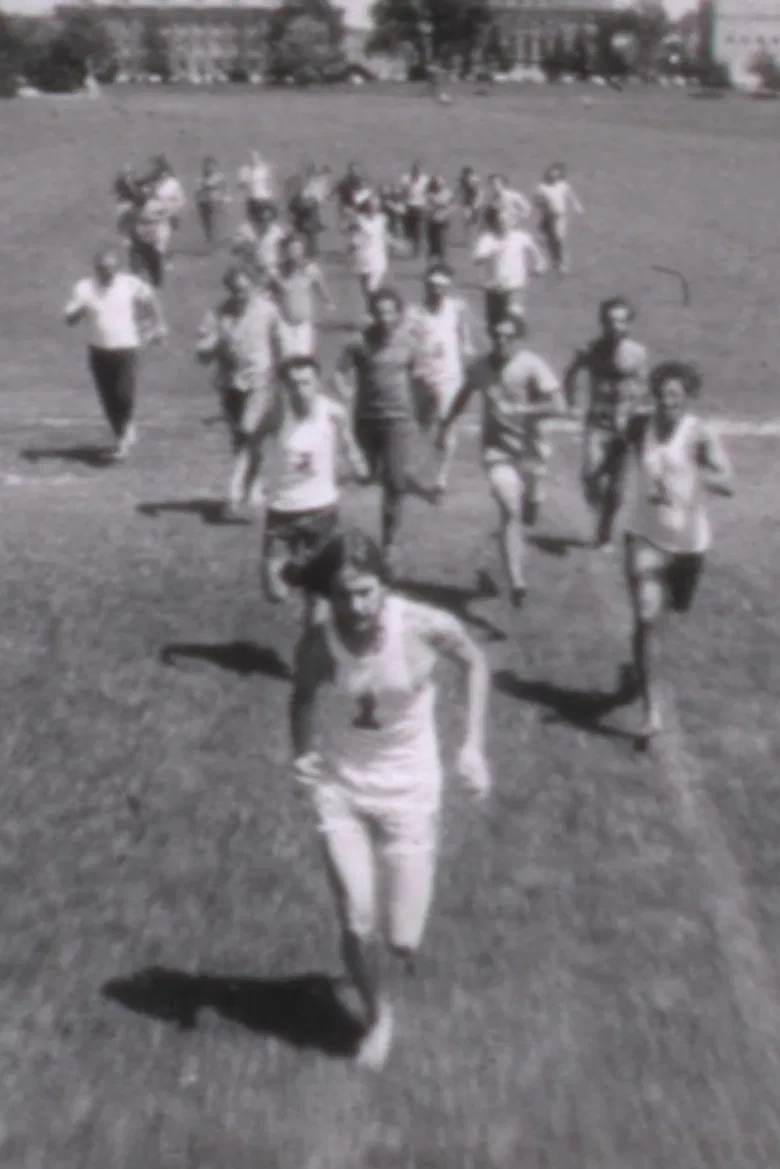 Branches poster background