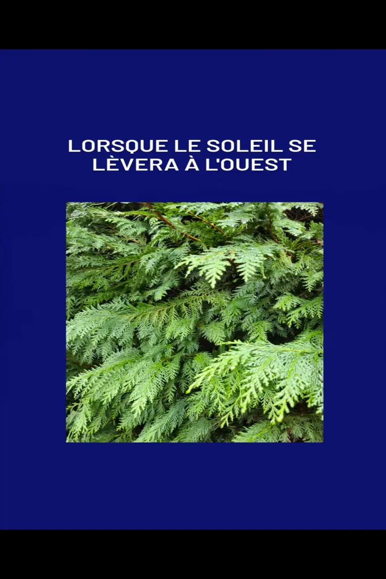 Lorsque le soleil se lèvera à l'ouest poster background
