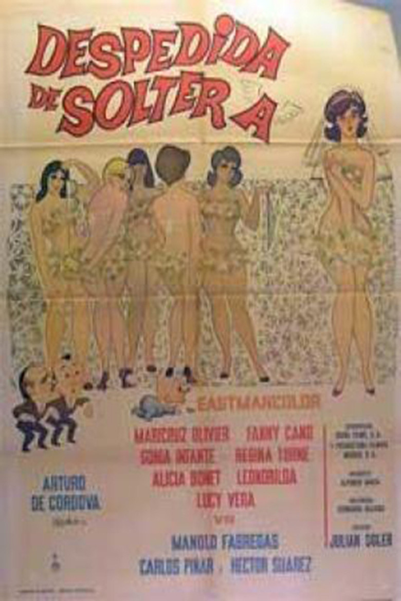 Despedida de soltera poster background