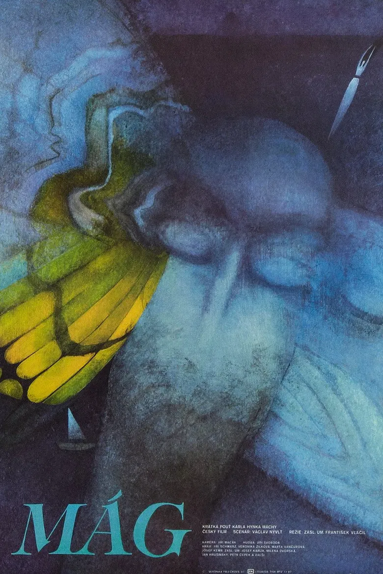 Magician poster background