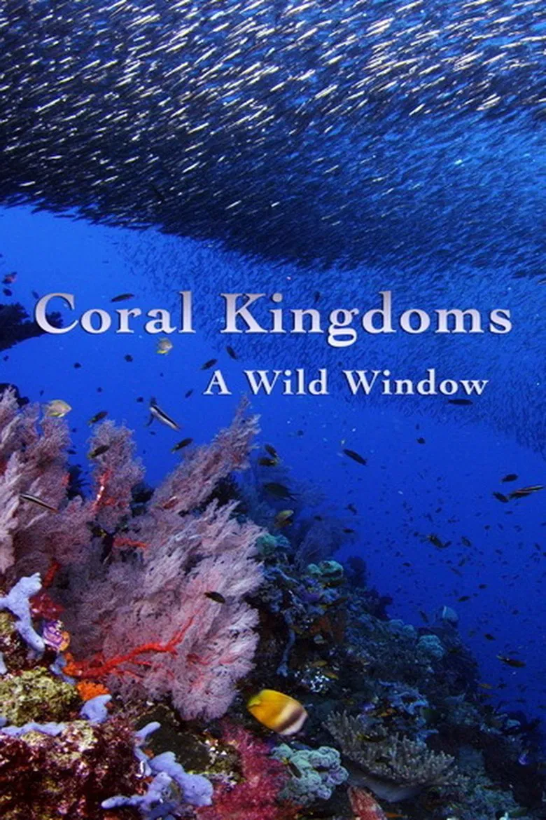 A Wild Window: Coral Kingdoms poster background