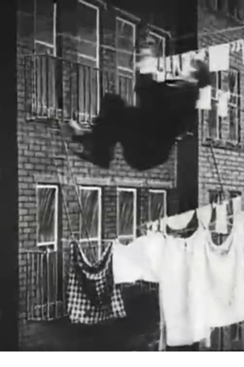 The Burglar's Slide for Life poster background