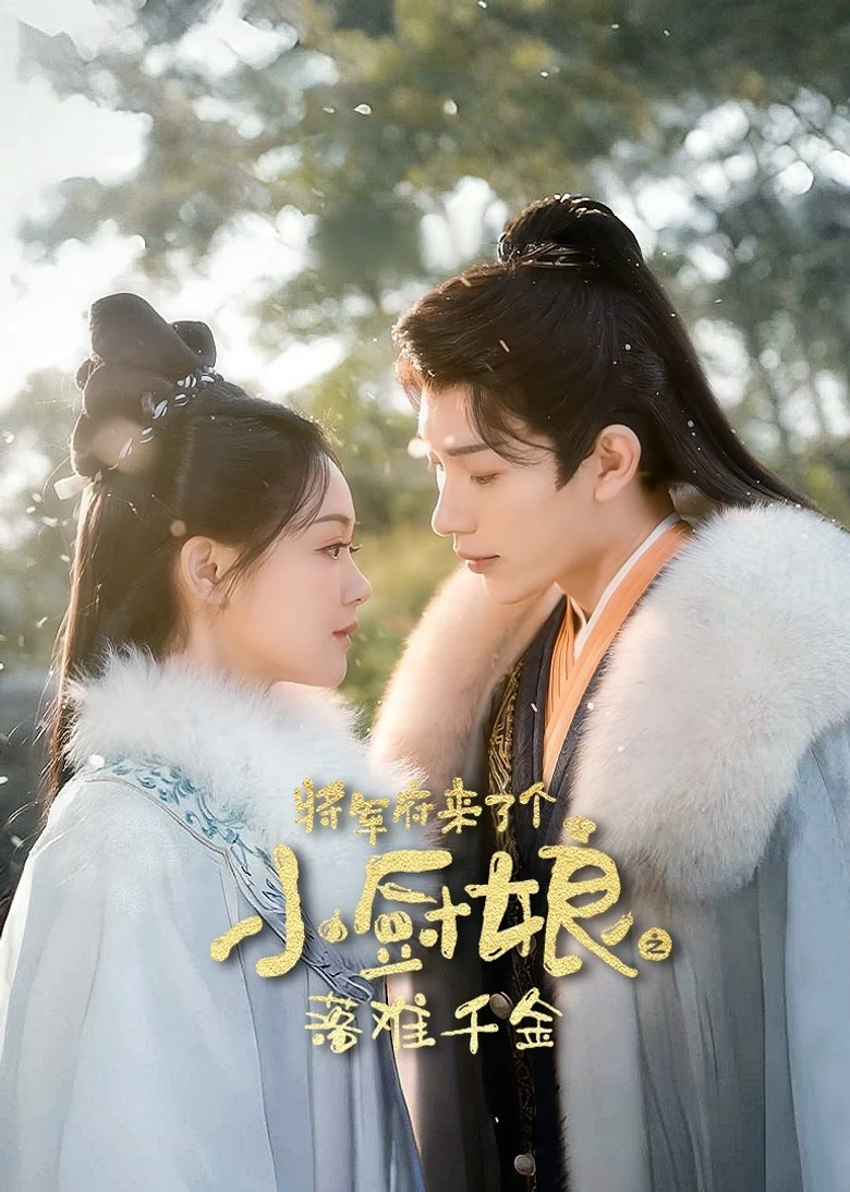 将军府来了个小厨娘之落难千金 poster background