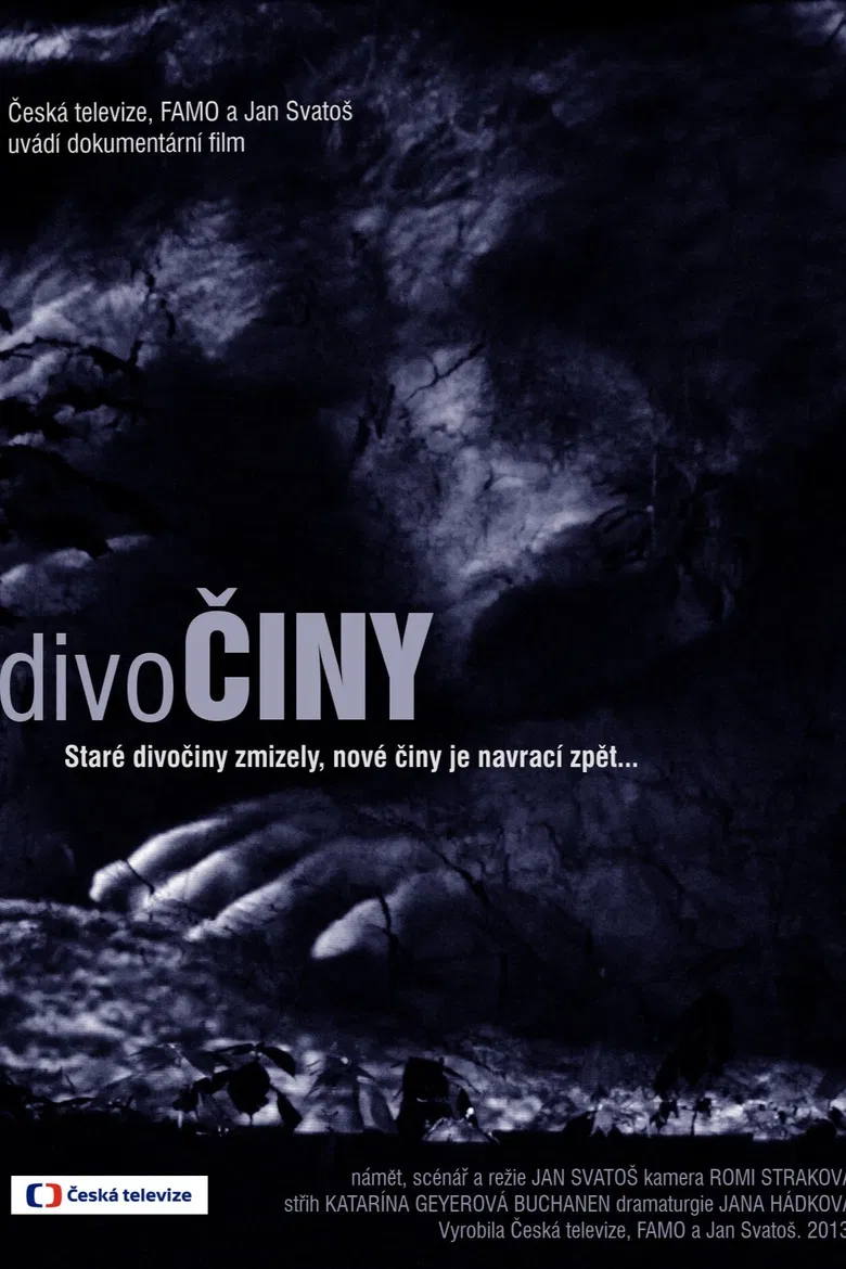 Wild Works poster background