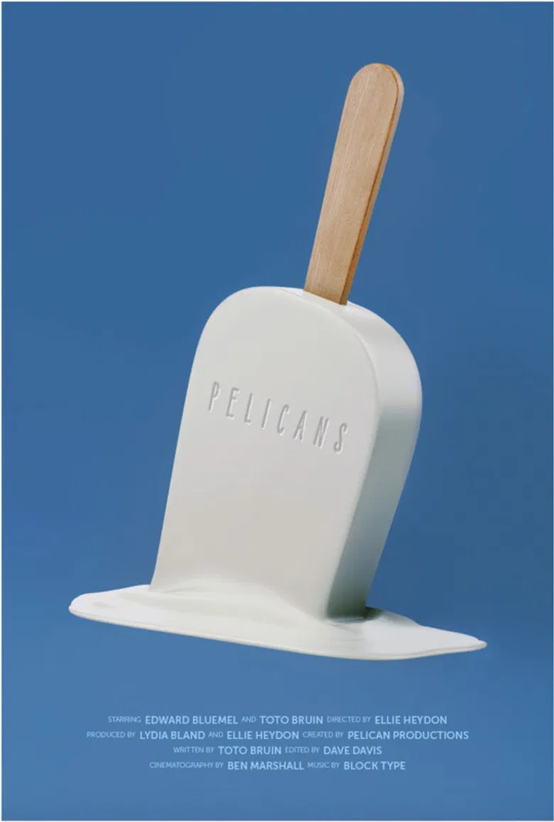 Pelicans poster background