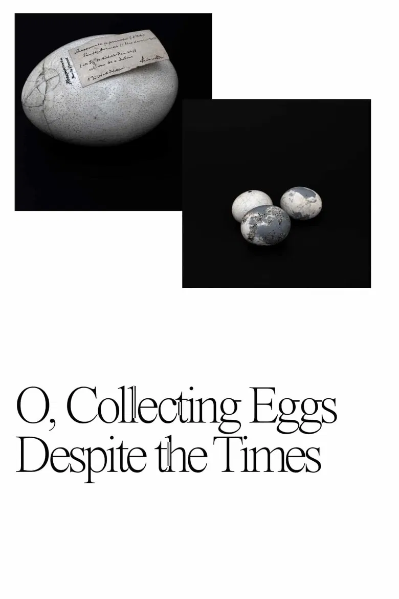 O, Collecting Eggs Despite the Times poster background