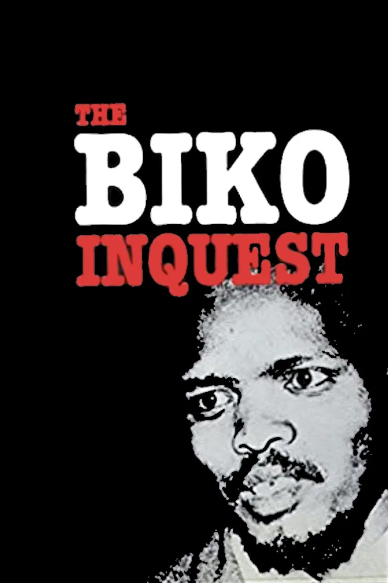 The Biko Inquest poster background