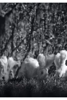 UNICORN poster background