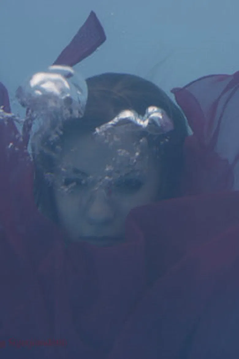 Uniform Sierra poster background