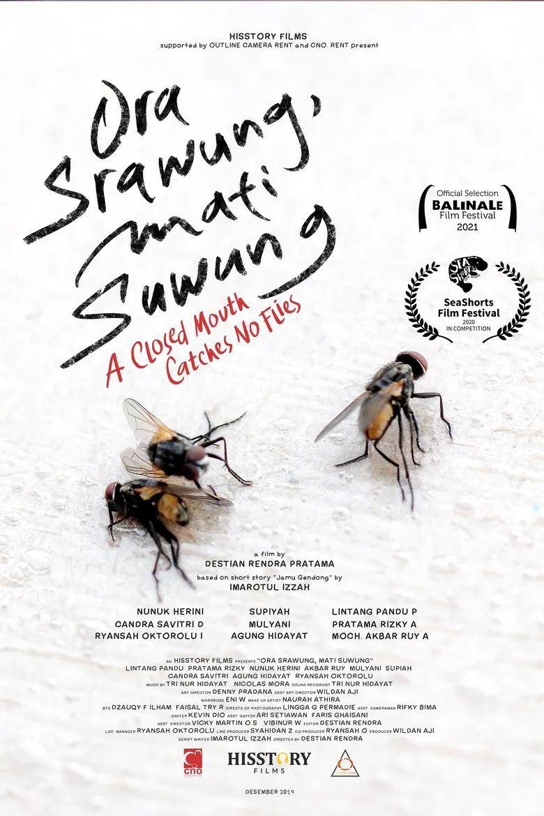 A Closed Mouth Catches No Flies poster background