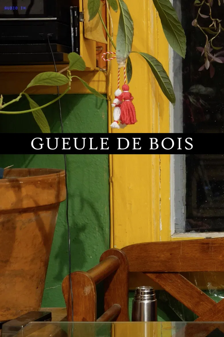 Gueule de bois poster background