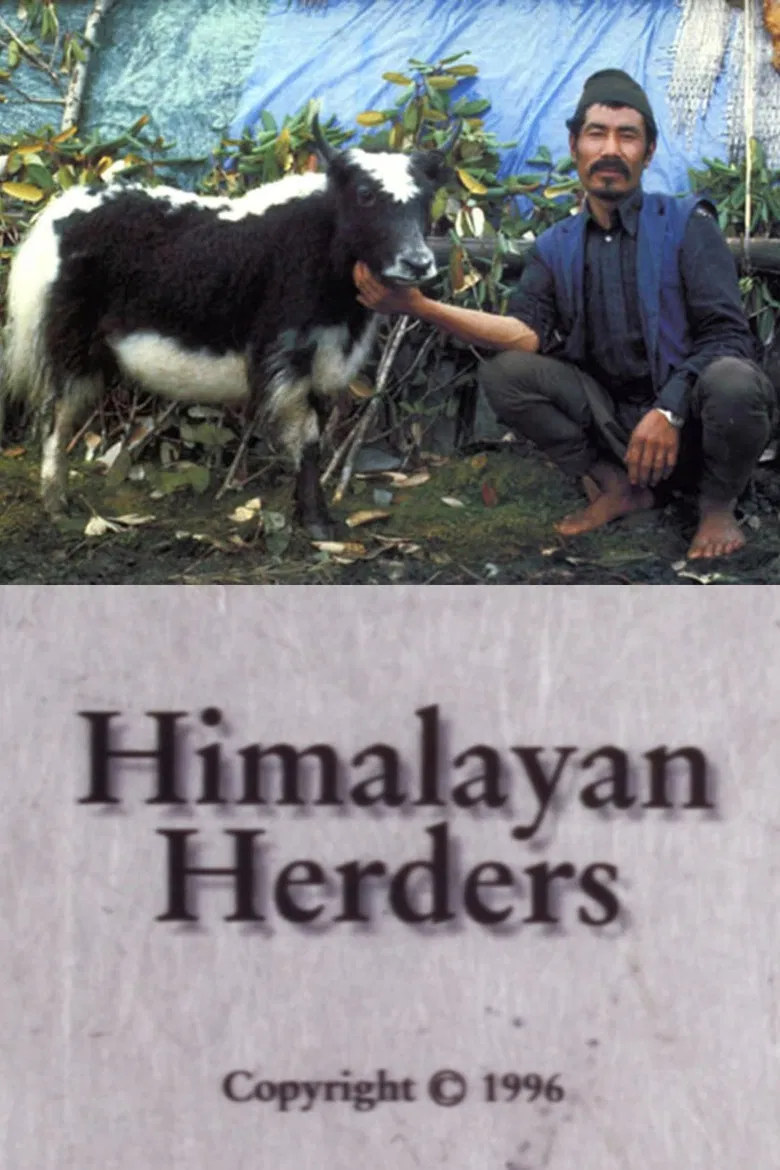 Himalayan Herders poster background