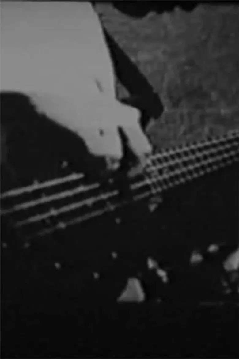 bodega 96 poster background