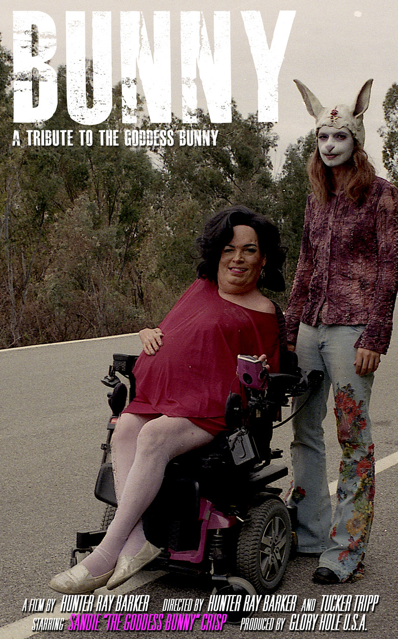 Bunny poster background