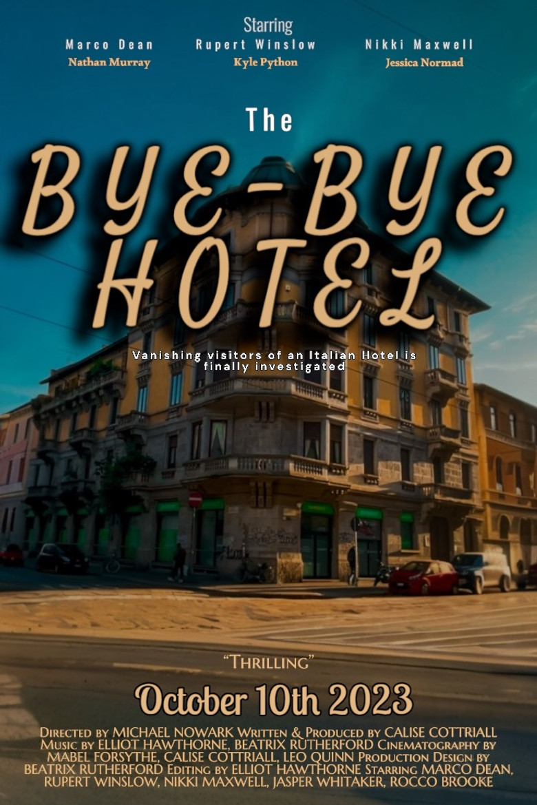 The Bye-Bye Hotel poster background