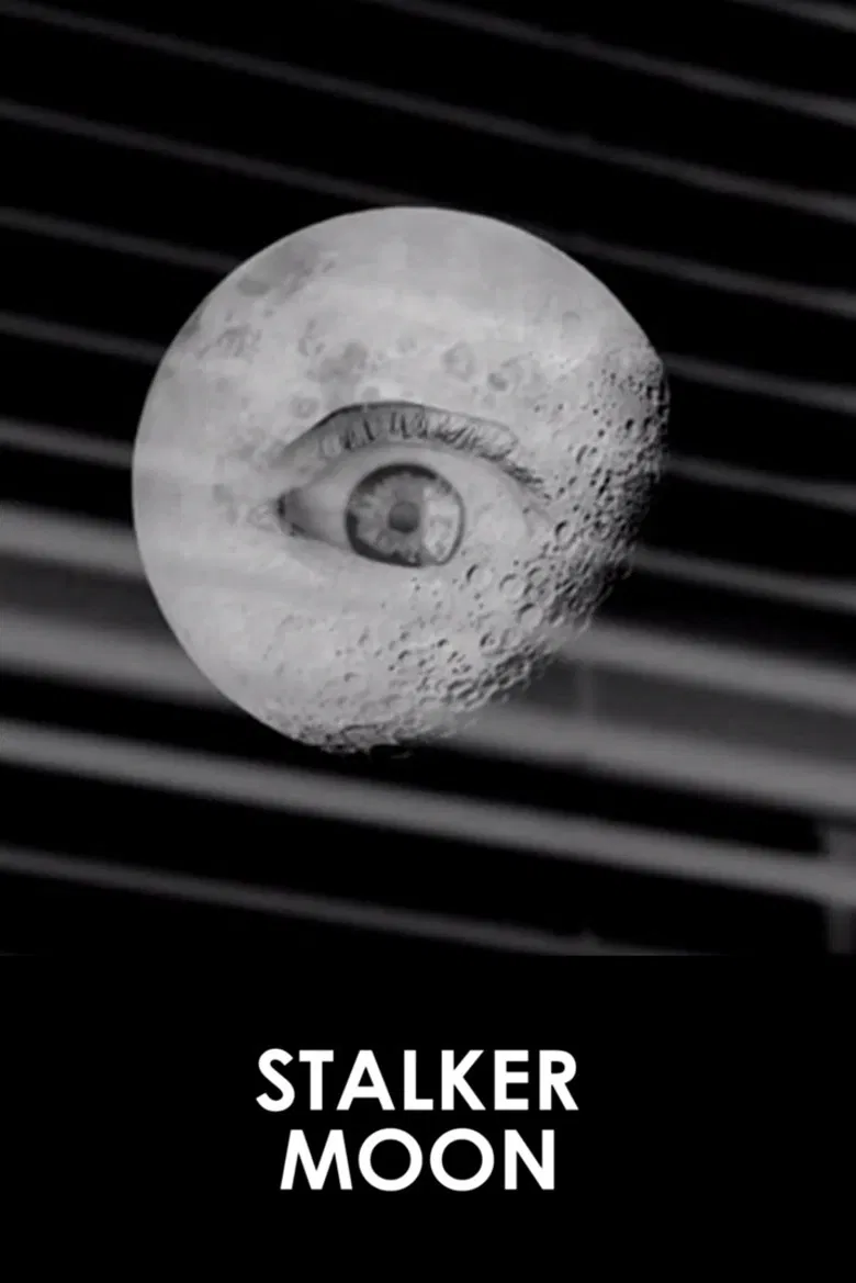 Stalker Moon poster background