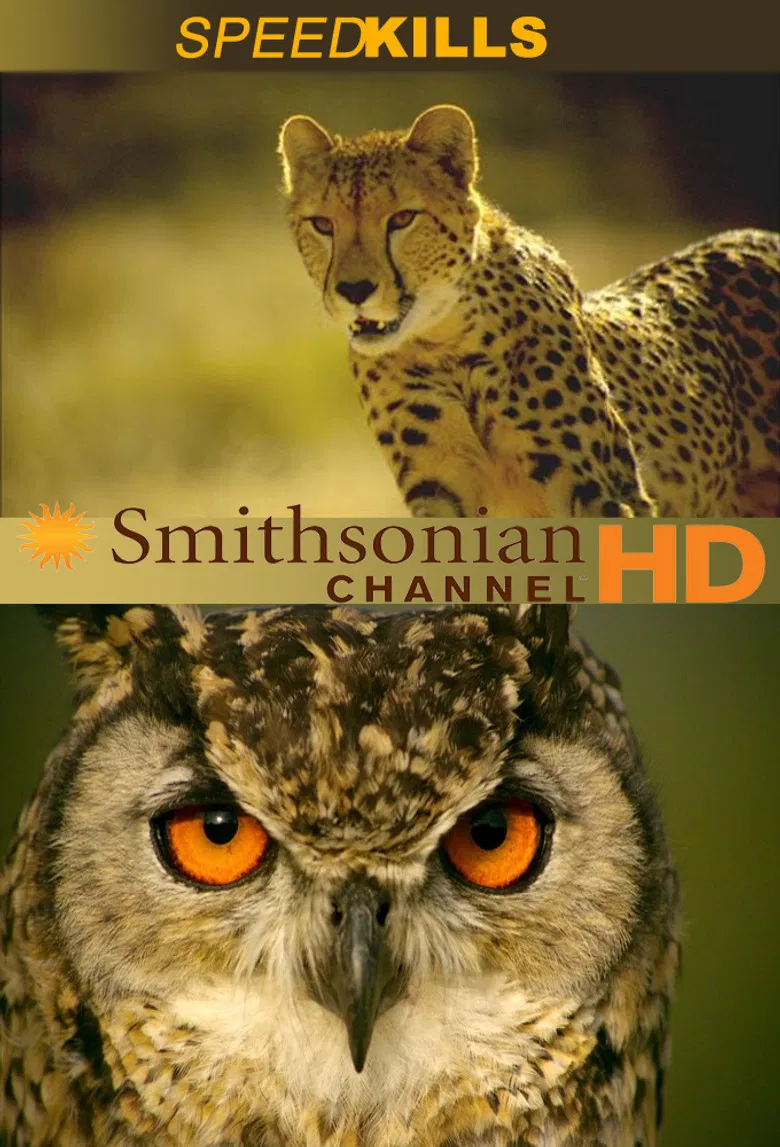 Speed Kills poster background