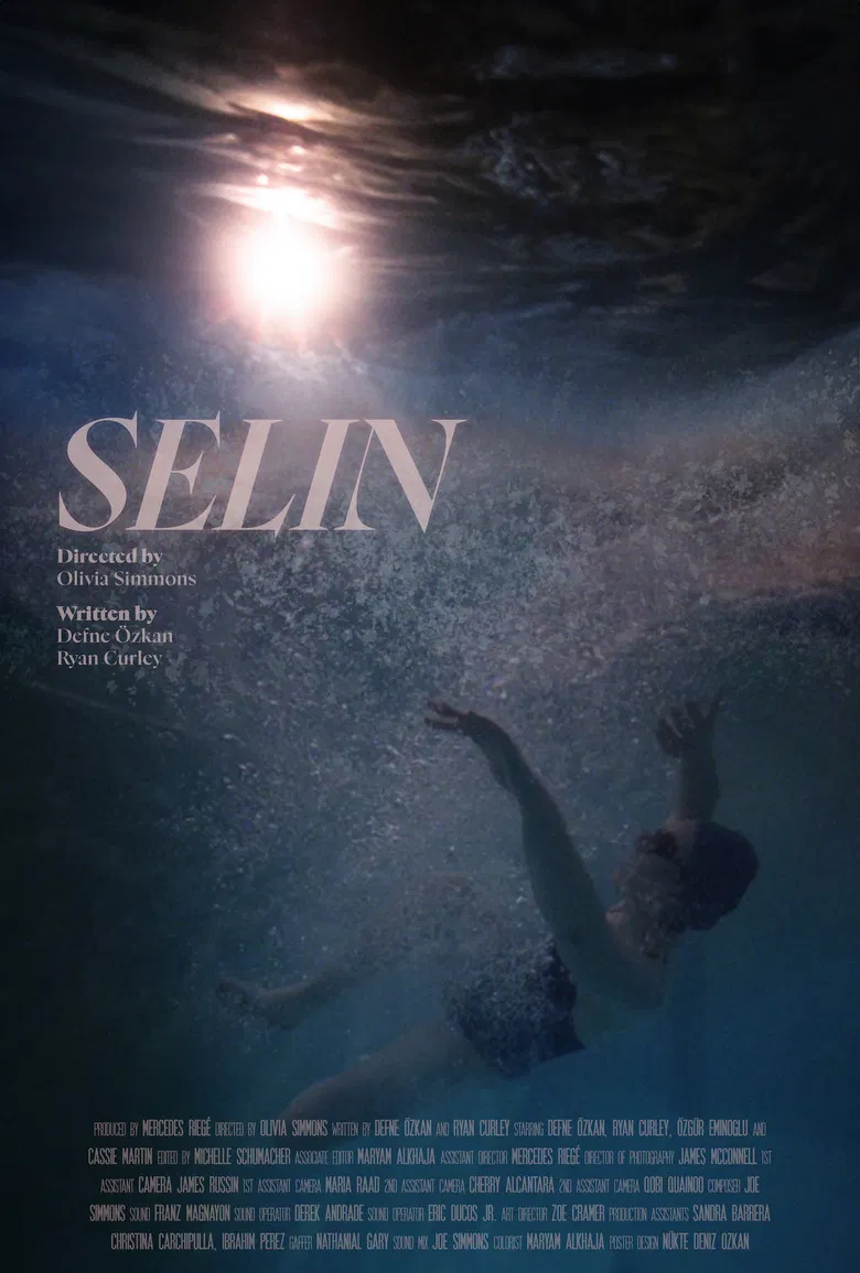 SELIN poster background
