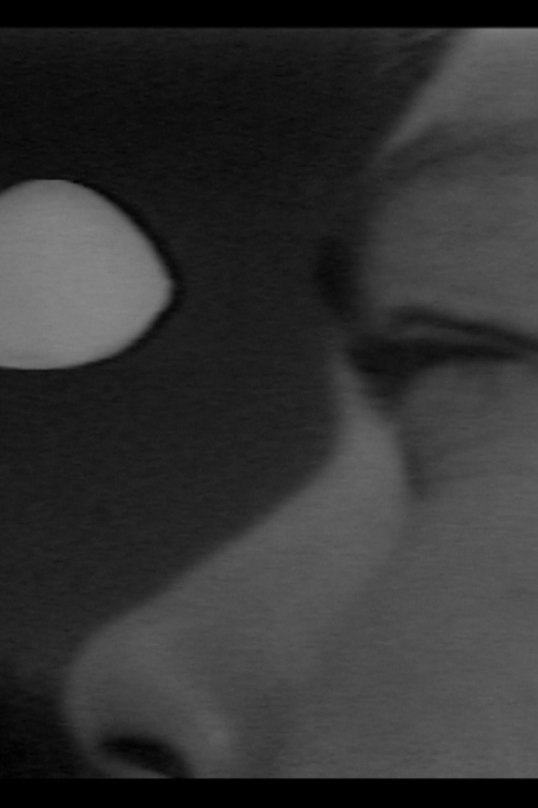 Lanesville UFO Incident poster background