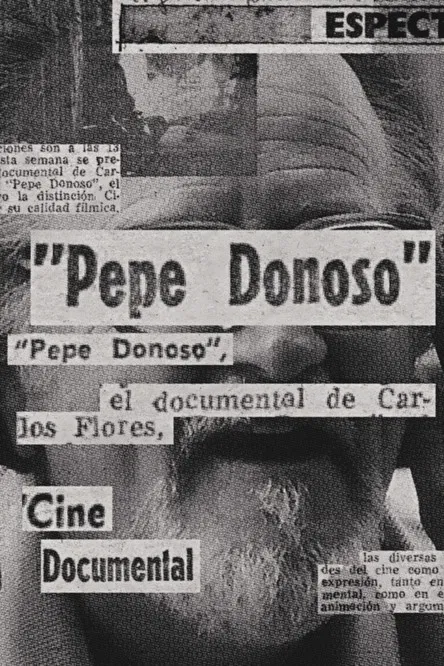 Pepe Donoso poster background