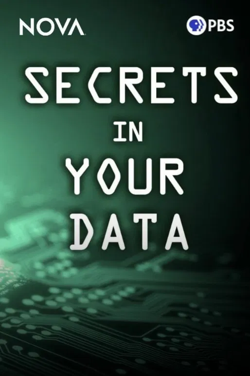 Secrets in Your Data poster background