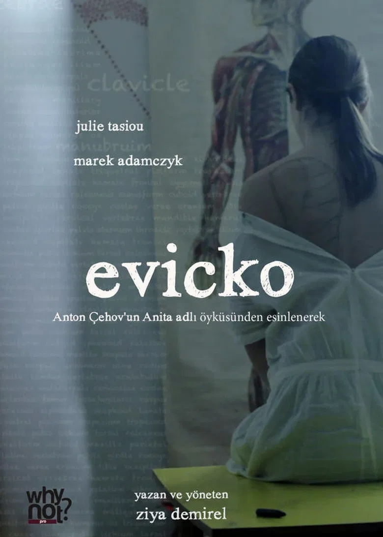 Evicko poster background