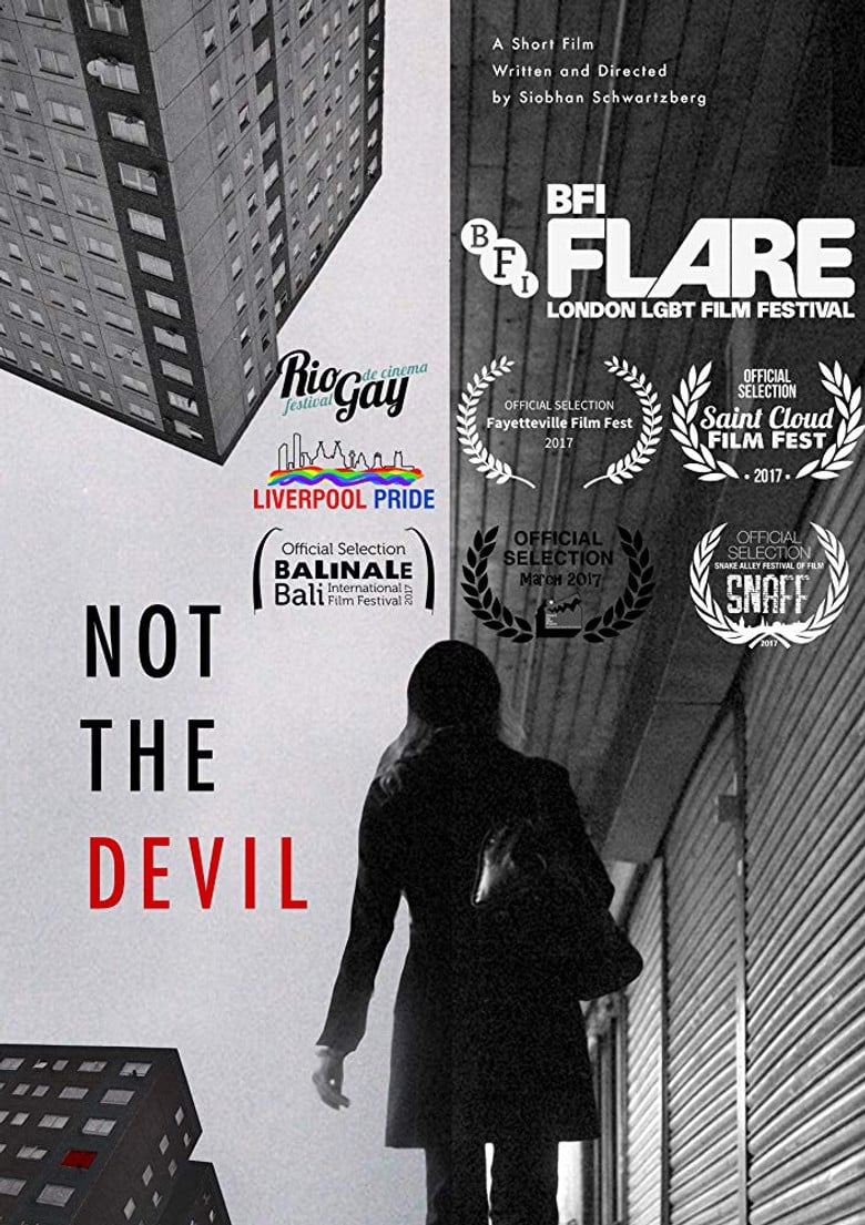 Not the Devil poster background