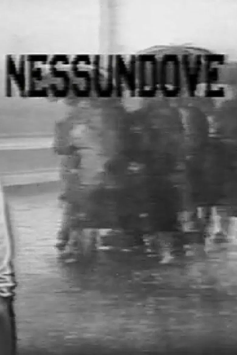 Nessun dove - Studi su immagini di Napoli poster background