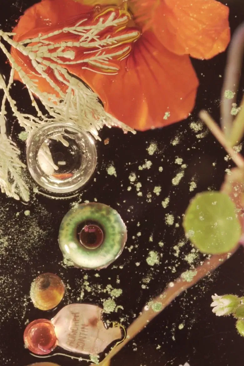 The Infernal Grove poster background