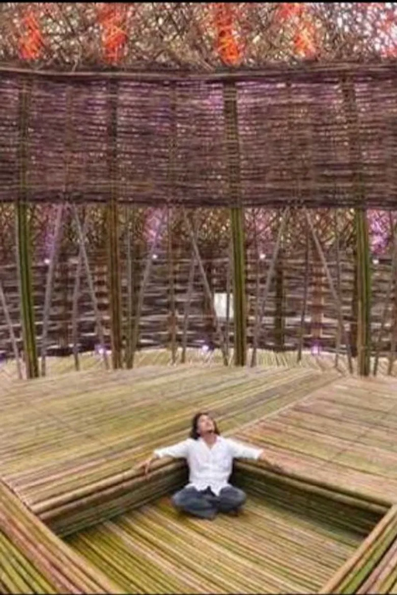 Mountain Spirits poster background