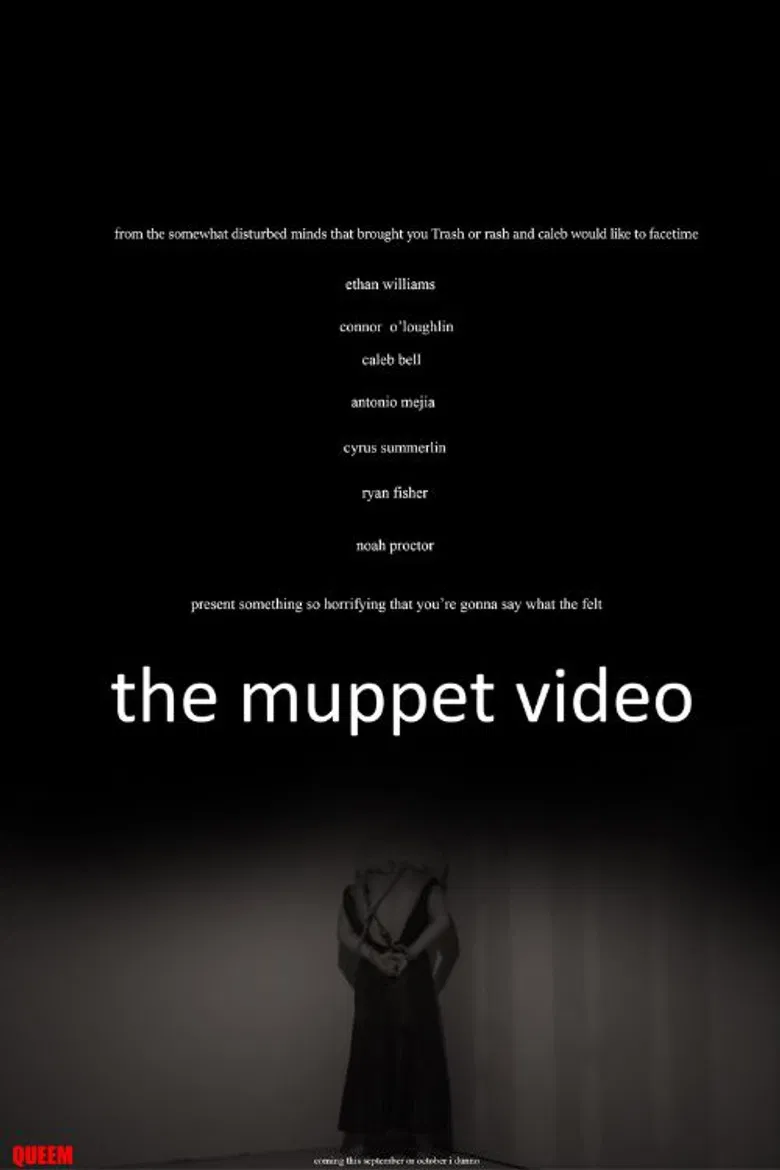 The Muppet Video poster background