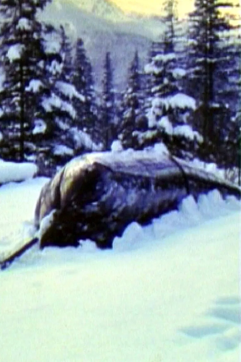 Air Cushion poster background