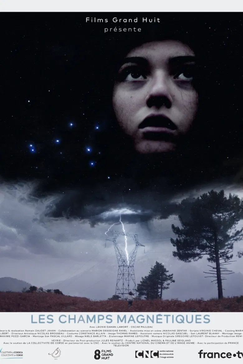 Magnetic Fields poster background