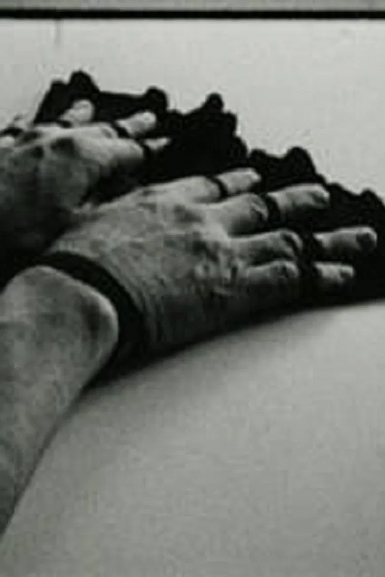 Fingerfächer poster background