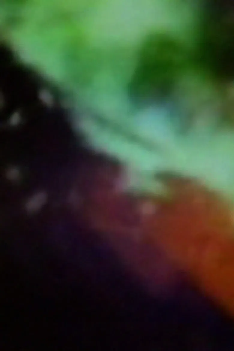 Bent Light poster background