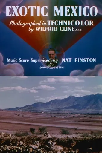 Exotic Mexico poster background