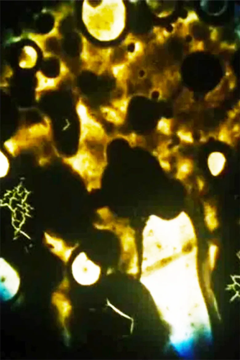 Microbes poster background