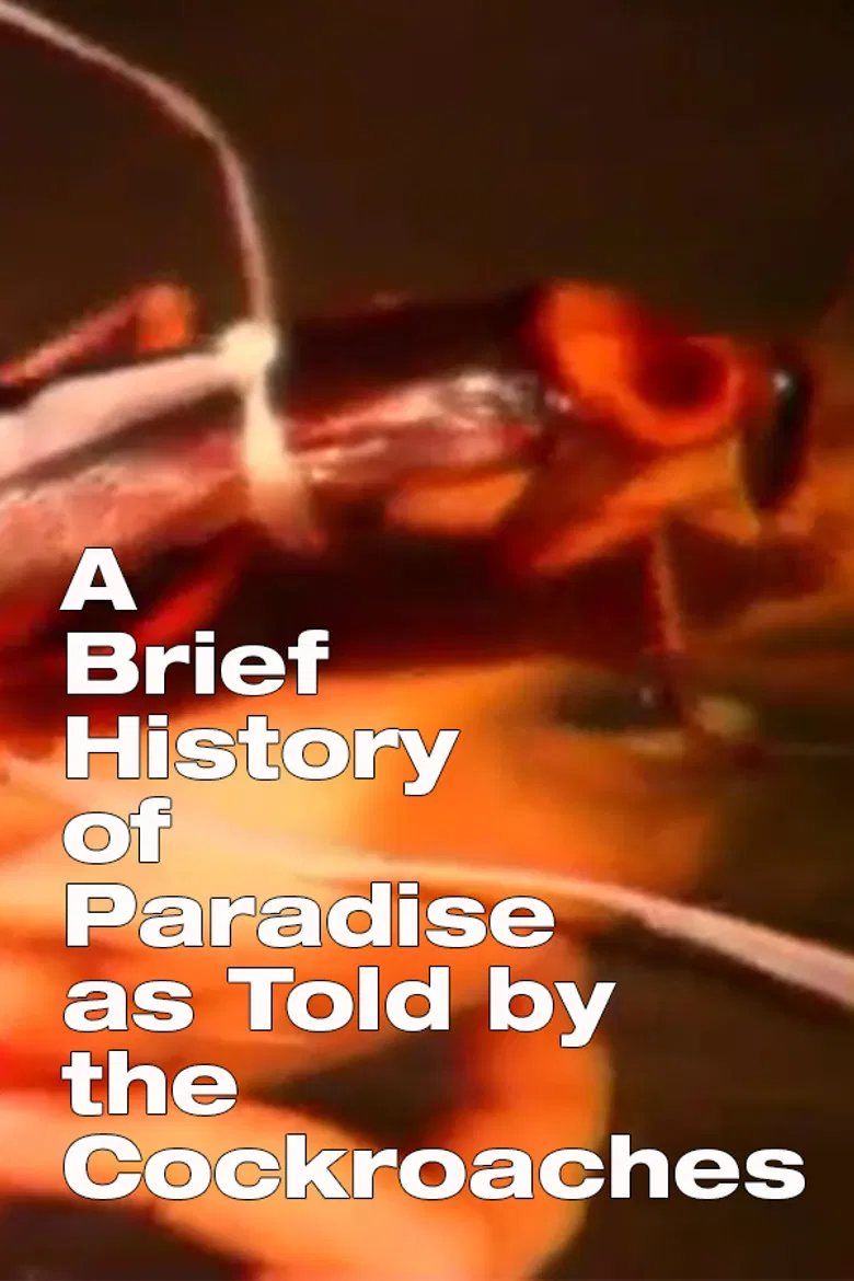 A Brief History of Paradise as Told by the Cockroaches poster background
