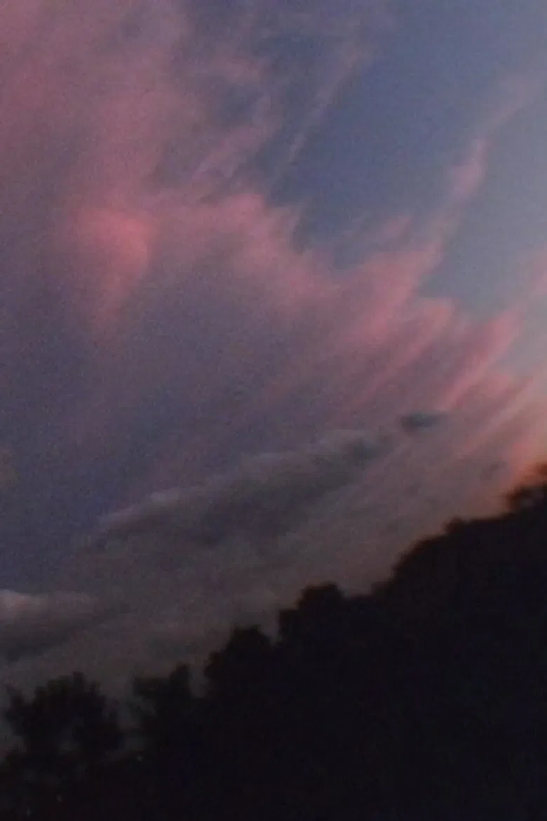 Brilliant Garden poster background