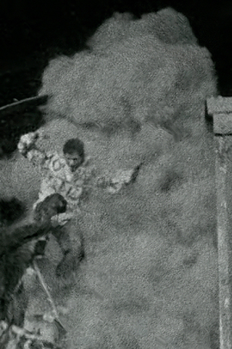 The Black Cat poster background