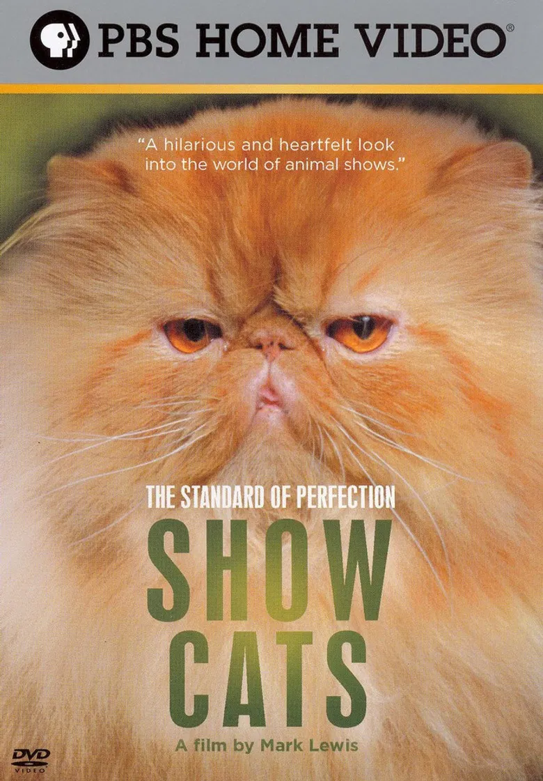 The Standard of Perfection: Show Cats poster background