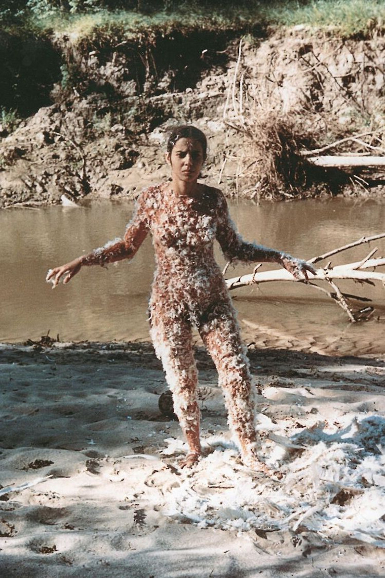 Blood + Feathers poster background