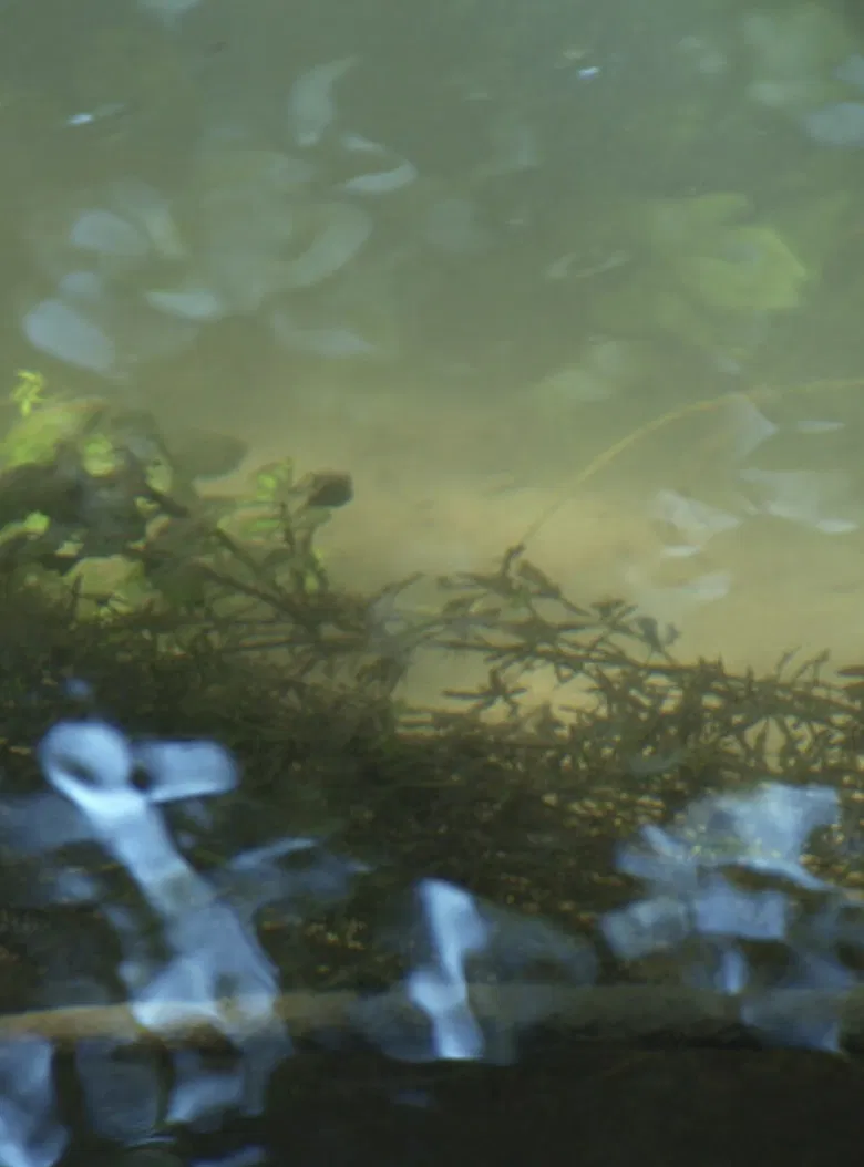 Heartbroken for Good poster background