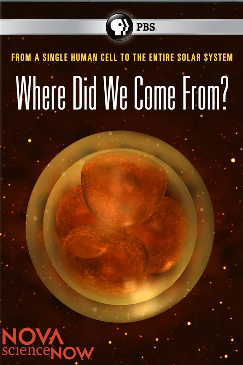 Where Did We Come From? poster background