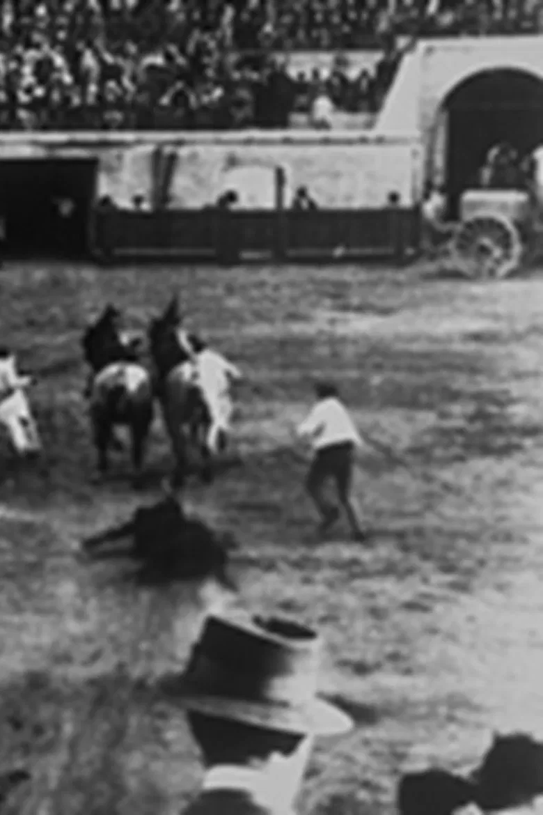 Enlèvement du taureau poster background